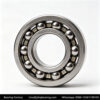 1200 Self-Aligning Ball Bearing