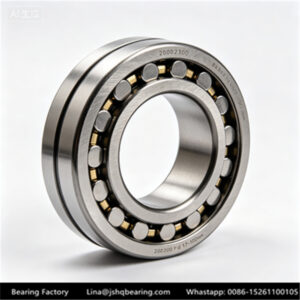 2200,N2300 Series(d 17-100mm) 2200,N2300 Cylindrical Roller Bearing
