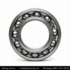 Double Deep Groove Ball Bearing