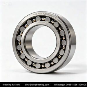 N200,N300,NU200 Series (d 15-240mm) 2200,N2300 Cylindrical Roller Bearing