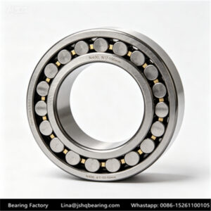 N400,NU400 Series (d17-100mm) 2200,N2300 Cylindrical Roller Bearing