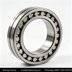 RN RNU Series (d 17-400mm) 2200,N2300 Cylindrical Roller Bearing