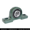 UCP Pillow Block Bearing