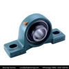UCP309 Bearing