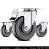 10 Inch Caster