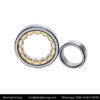 NUP205 Cylindrical Roller Bearing