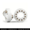 1200 Ceramic self-aligning ball bearing