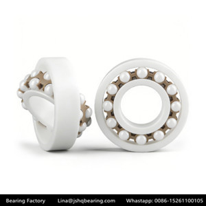 1200 Ceramic self-aligning ball bearing